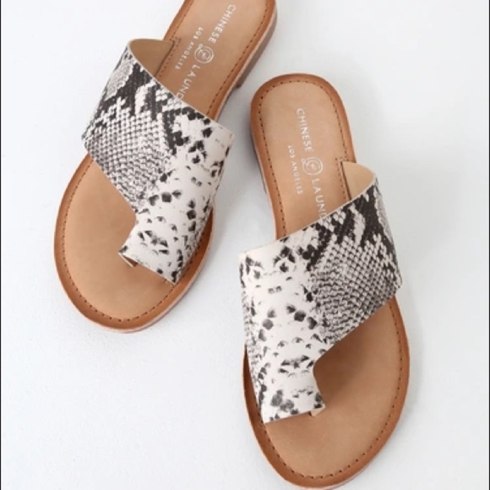 Chinese Laundry Gemmy Black/ White lizard